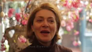 Introduction to Galton Flowers