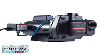 VEVOR 1.5 HP Cast Iron Sprinkler Irrigation Pump 115 230 Volt 66 GPM 3450