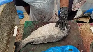 Sheri Fish Fillet। Sheri Fish Cutting Fastest Way। Emperor Fish Cutting। Ocean Fish Filleting Market