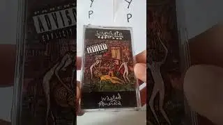 LOVE/HATE: Wasted in America TAPE cassette 1992. Sleeze Rock, best EVER