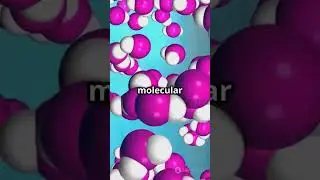 Can Water Remember? Mind-Blowing Discovery!