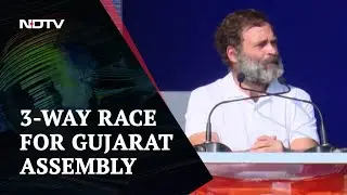 Gujarat Election 2022: Rahul Gandhi's First Election Rally In Gujarat