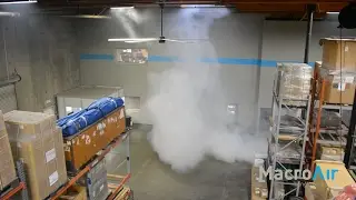 Smoke Test Reverse Function