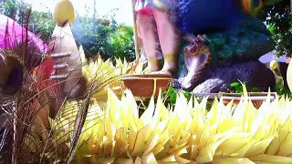 Sitirai Cavadee 2017