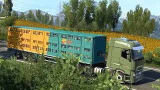 Renault T Livestock Transport - Euro Truck Simulator 2