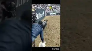 Great escape watch till end😨 #like #escape #bull#entertainment #shortsfeed #shorts #subscribe #funny