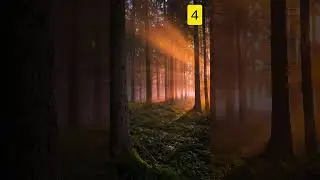 Which of these places suits your style? #fy #travel #darksky #naturelandscape #letgo