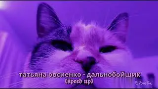 Татьяна Овсиенко - Дальнобойщик (𝖘𝖕𝖊𝖊𝖉 𝖚𝖕)
