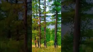 Beautiful Shangla valley and mountains  See the charming and beautiful sights
