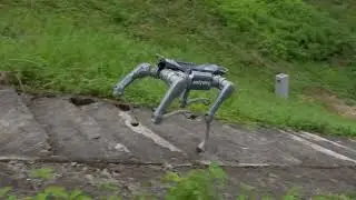 Unitree A2 Robotic Quadruped