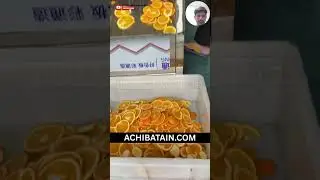 ⚙️ Automatic Orange Slicing Machine | 200 Cuts/Minute | Industrial Fruit Processing Equipment #usa