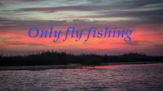 Only fly fishing-Ловля окуня нахлыстом (Весёловское водохранилище )