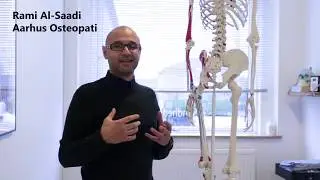 Iskias - Iskiassmerter - Årsager og Behandling - Aarhus Osteopati og Fysioterapi