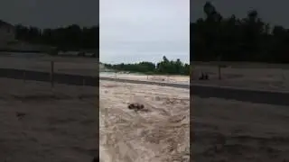 Arrma Fazon RC bashing