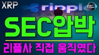 [오늘의 경제] 리플 // SEC 압박 / 리플사 직접 움직였다 / 트럼프 vs 파월 진정국면?