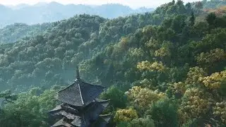 Assassin's Creed Shadows: Yamato Assassin Outpost