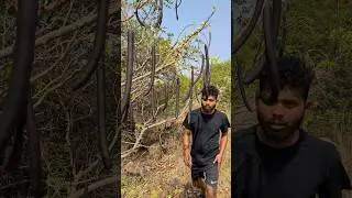 Forest Survival: Open Beer Without Opener #camping #survival #outdoors #diy