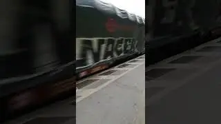 BR 152 Pulling Freight Waggons