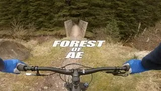 AE Forest MTB