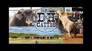 D&H Cattle $200K Incentive Futurity Series #1 & Big Bucks - TEST