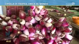 Cipolla di Tropea, unica al mondo