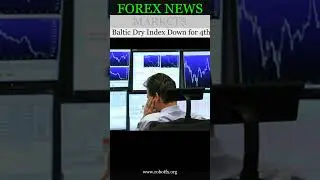 Baltic Dry Index Down for 4th Day