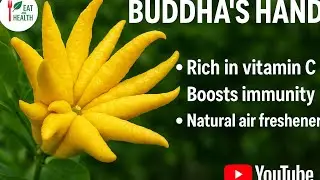 KING OF CITRUS 😳! BUDDHA'S HAND CAN HANDLE AND BOOST YOUR IMMUNITY.#health #fruit #food #facts