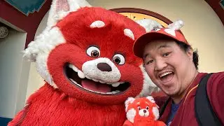 Meet Mei Lee Red Panda First Time Disney California Adventure ❤️🐼
