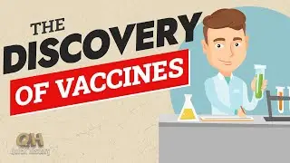 How Did They Discover The Smallpox Vaccine?