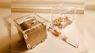 Ant-shack EARTHCUBE | Test and review!