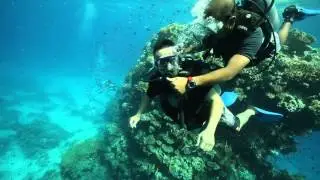 I Love Egypt ~ Diving part 1