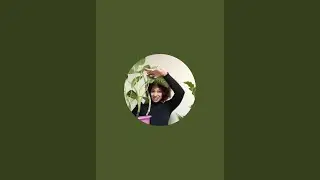Make Kokedamas With Me! No Talking Lofi & Chill. Discount Code on Minaearth.com