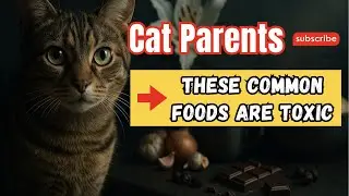 Cat Parents: These Common Foods Are TOXIC (LILIES, Onions, Chocolate)