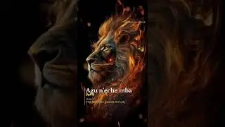 Agu n'eche mba: The Lion that guards the city
