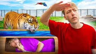 Wij doen VERSTOPPERTJE in de DIERENTUIN!