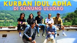 IDUL ADHA DI TURKI | SUASANA KURBAN DI DESA GUNUNG ULUDAG - Rausyant Dhimny