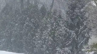 Are you allergic to cold weather?