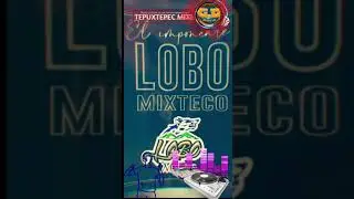 Lobo 🐺 mixteco Chilenas/