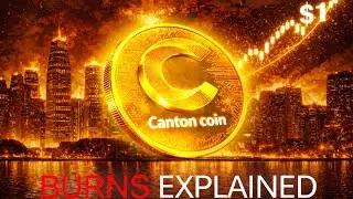 Canton Network Coins сжигает миллиарды: вот почему это позитивный момент.