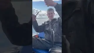 хариус от https://vk.com/id576841923 #fishing #shorts