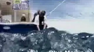 UNDERWATER BILLFISH ACTION