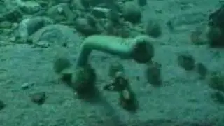 Shipwreck Identification: HMS Sovereign