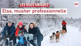À LA RENCONTRE D’ELSA ET DE SES CHIENS DE TRAINEAUX EN LAPONIE (DUOS UNIQUES #4)