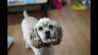 미루 만난 그 날.. 그리고 그 한 달..