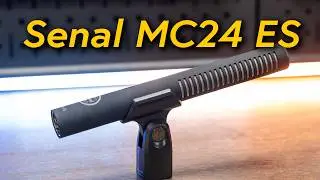 Senal MC 24 ES XLR Microphone Sound Test and Review