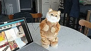Dancing Cat Speaker - Robotic Moving Cat Dances To Your Music