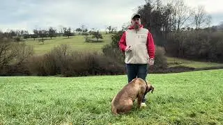 Wie wir Hunde trainieren 