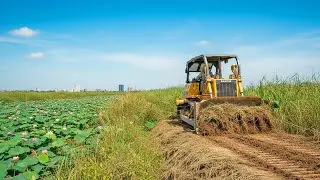 Powerful Land Clearing Operation with Two Bulldozers, Bulldozers at Work Transforming Overgrown Land