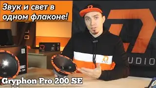 Обзор: DL Audio Gryphon Pro 200 SE &mdash; автозвук с огоньком!