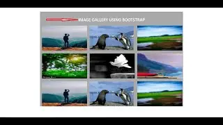 HOW TO CREATE BEAUTIFUL IMAGE GALLERY USING BOOTSTRAP 4